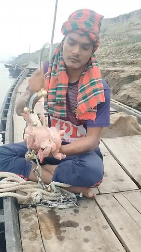 Chicken bait for catching boa constrictors #fishing | Unique Ideas BD