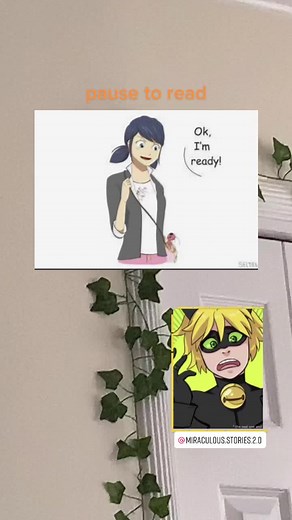 Ladybug 🐞 or Chat Noir 🐈‍⬛ | credits: SELDON || #season4miraculous #marinette #miraculousladybug #crush #adrienagreste #plagg #fypシ