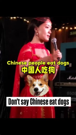 Stop saying "Chinese eat dogs", because...🫠 #standup #comedy #chinese #chineseculture #eatingthedogseatingthecats | Kate Hu Comedy
