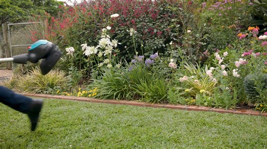 29 reactions | Messy edges? Hard-to-reach corners? Not anymore.  With the GARDENA 18V EasyCut cordless trimmer, lawn care is precise, effortless, and comfortable. Lightweight, adjustable, and powerful, it’s the perfect tool for that crisp, clean finish every time. ⚡ https://youtu.be/sv2qP3gXXqI #lawncaremadeeasy #gardentools #cordlesstrimmer #easycut #gardeningmadesimple #perfectedges #batterypowered #gardenessentials #gardeninglife #lawngoals | The Gardener Magazine | Facebook