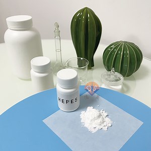 [Hot Item] Hepes Sodium Salt Raw Materials for in Vitro Diagnostic Kits Bio-Buffer