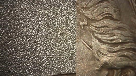 coin microscope for adults