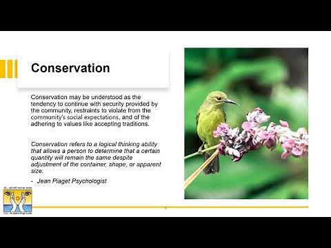 Theory of Basic Human Values