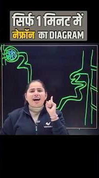 Nefron Diagram Easy to | Structure of Nephron Diagram |UP Board Exam 2026 Class 10th Science
