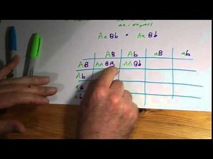 A2 Epistasis 1: dominant epistasis