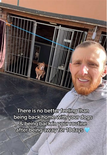 Back Home with My Dogs: A Heartwarming Reunion