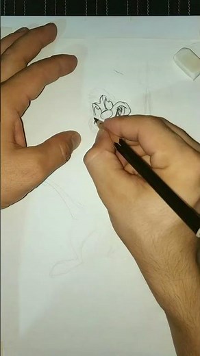 HOW TO DRAW TIMON FROM THE LION KING