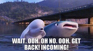 e2e20421-65d7-4bb0-bf16-39a638ac187a