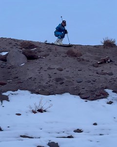 Immersion Research on Reels