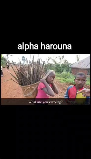 alpha harouna mo bourkina Faso 🇲🇱🇧🇫🇳🇪 peulh polakou fulfulde pullar burkinafaso🇧🇫 Sahel AES mali niger VDP FAMA IB goita tiani guinée ouest_d 'Afrique muritani🇲🇷 senegal senegalaise_tik_tok🇸🇳pourtoichallenge cameron Congo cotedivoire🇨🇮 benintiktok🇧🇯 togolais228 ghanatiktok🇬🇭 Nigeria