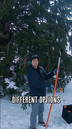 How to slingshot a rope weight into a tree! #slingshot #treerigging #arborist