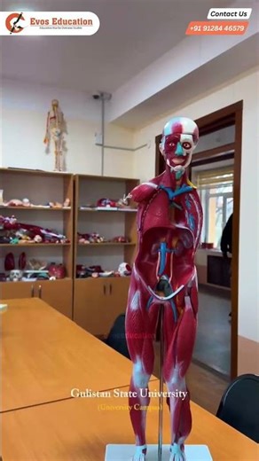 Study MBBS Abroad at Gulistan State University | Affordable & Globally Recognized