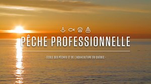 36 reactions · 26 shares |  Visite en ligne le campus de l'École des pêches et de l’aquaculture du Québec de Grande-Rivière.  Ose l’aventure et vis des études grandeur nature! ✅ Les inscriptions sont ouvertes. | Cégep de la Gaspésie et des Îles | Facebook