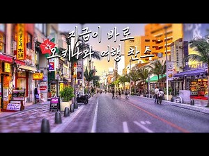 무비자로 풀린 일본 여행 🌺오키나와 국제거리에서 제대로 즐겨보기