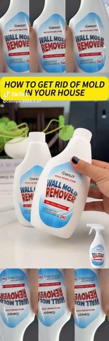 Effective Methods to Remove Black Mold