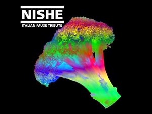 Follow me - Muse The2ndLaw (Vocal cover-breve anteprima)