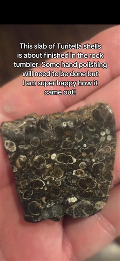 Finishing Turitella Shells in a Rock Tumbler