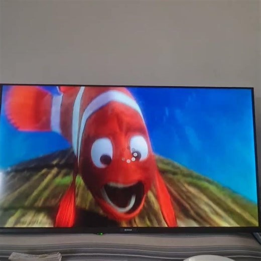 14 April 2026 finding Nemo turtle scene