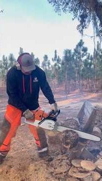 Stihl MS660 Clone Build - Test Cuts