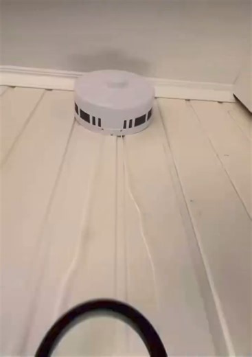 Container home! Simple and functional Shipping Close or open all the windows with the sleek sliding shutters for a cozy, private retreat. Whether you're looking for a peaceful escape or a stylish staycation, this unique container home has it all. @boxhome_kg #Getaway #ShippingContainerHome #ModernLiving #NatureRetreat #CozyEscape #SlidingShutters #PrivateRetreat #UpcycledLiving #TinyHome #UniqueStay #Sustainable Living #EcoFriendly Home #OffGridLiving #ContainerDesign #ArchitecturalBeauty #Minim