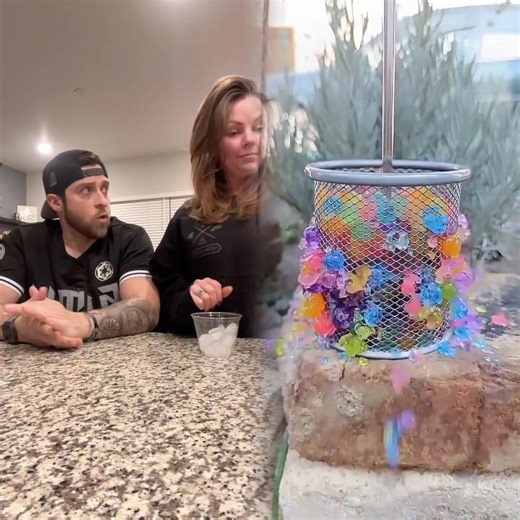 Hiws your Christmas Eve?! This is mine in a nut shell 😅@Chet #ohschatz #christmas #humor