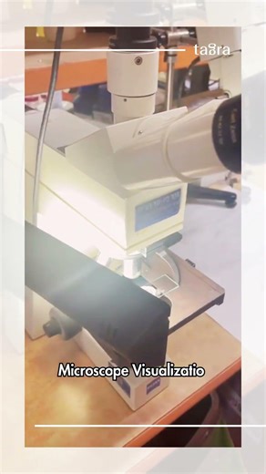 𝘊𝘢𝘮𝘦𝘭𝘦𝘰𝘯 𝘊𝘦𝘭𝘭𝘶𝘊𝘢𝘱𝘴™ 𝘮𝘪𝘤𝘳𝘰𝘤𝘢𝘱𝘴𝘶𝘭𝘢𝘵𝘦𝘥 𝘱𝘪𝘨𝘮𝘦𝘯𝘵𝘴 - 𝘶𝘯𝘥𝘦𝘳 𝘮𝘪𝘤𝘳𝘰𝘴𝘤𝘰𝘱𝘦