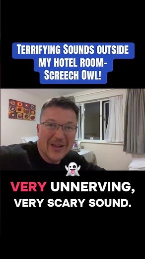 Terrifying sounds outside window- Screech Owls!! #horror #scary #wildlife #animals #birds #mystery