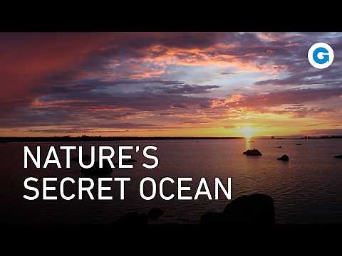 The Untold Wonders of the Baltic Sea – Nature Like You’ve Never Seen | Extra Long Documentary