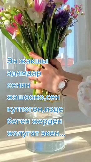 Arranging Beautiful Tulips in a Vase