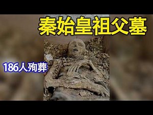 shocking！In the tomb of Qin Shi Huang's grandfather, 186 people were buried alive with him