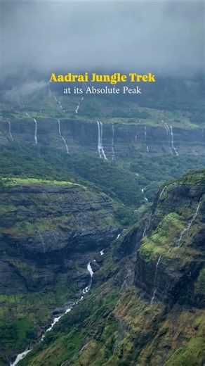 Aadrai jungle Trek😍#jungletrek#monsoon#maharashtra#waterfalls#trekking#sahyadri#clouds#live#ytshorts