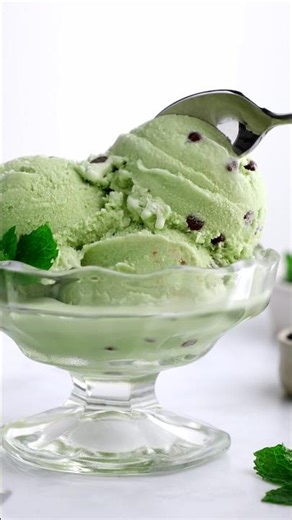 Mint Chocolate Chip Ice Cream! 🍨 (dairy-free & vegan)