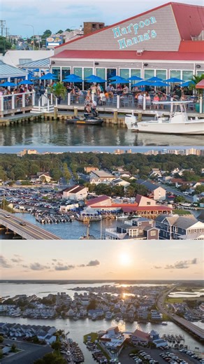 19K views · 630 reactions | Ranked Top 100 Independent Restaurants in the USA! Fenwick Island, DE  Open 365 Days A Year  | Harpoon Hanna's | Facebook