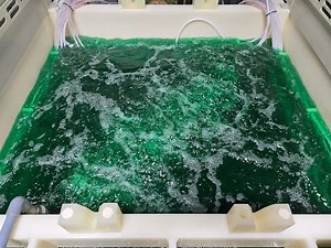 How to Double the Life of Your Electroless Nickel Plating Bath