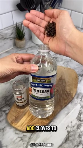 Effective Health and Wellness Tips for a Natural Lifestyle