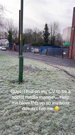 #cat #meme #fyp #payroll #maxwellthecat