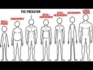 What Your Body Type Reveals About You
