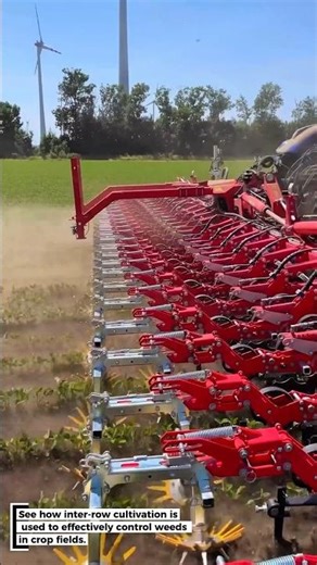 Inter-Row Cultivation for Weed Control