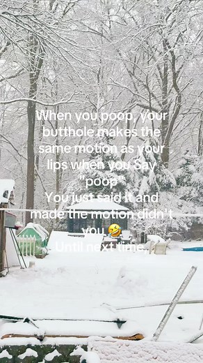 Understanding the Funny Side of Pooping