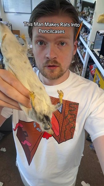 I have been making bad taxidermy for about 9 years. Rat pencilcases, rabbit toaster, Men made from rats - I have made all sorts of things! #badtaxidermy #taxidermy #funny #UKComedy