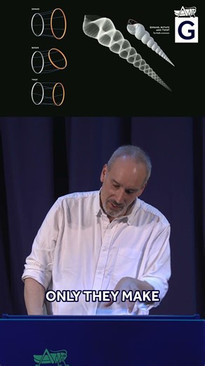 Scientific Graphics: Nautilus, Turritella