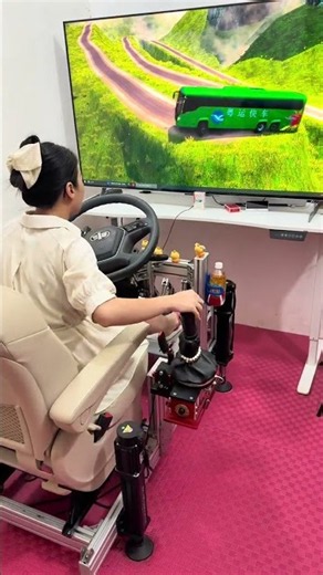 Euro Truck Simulator #48