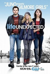 Una vida inesperada (Serie de TV) (2010)