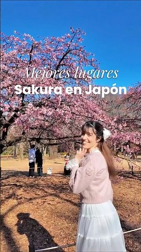 Sakura Guide in Japan 2026