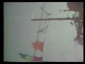 The Old Mob and the New 2