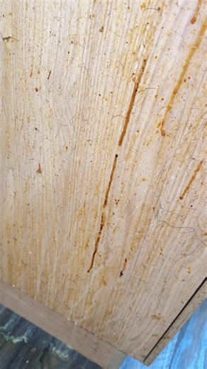 Genie Grease Be Gone: Transforming Kitchen Grime