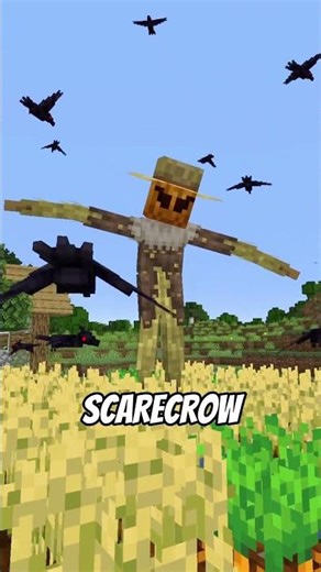 Do not wake up the scarecrow