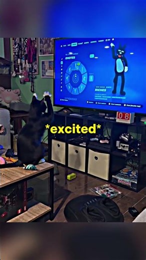 This CAT Got His Own Skin On FORTNITE 😳 #fortnite #funny