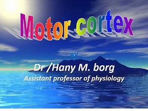 CNS Physiology lec 9: Motor Cortex