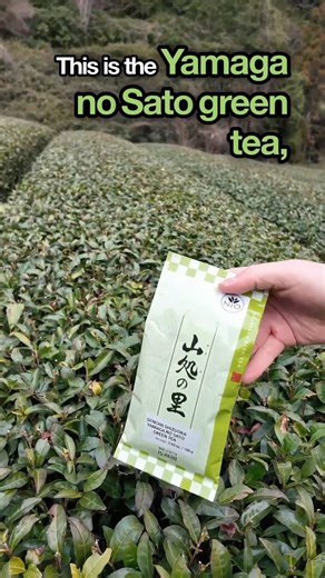 Our best selling green tea 🍵 #sencha #senchatea #japanesetea #japanesegreentea